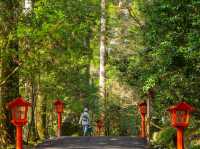 Hakone Shrine