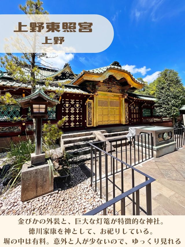 【東京|上野】まばゆい金色堂✨