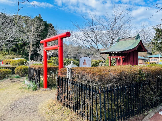 Sodegaura Park