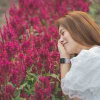 บ้านไร่นายรุ่ง กาญจนบุรี