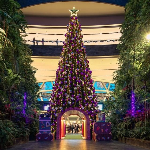  Jewel Changi Airport ✈️  🇸🇬 