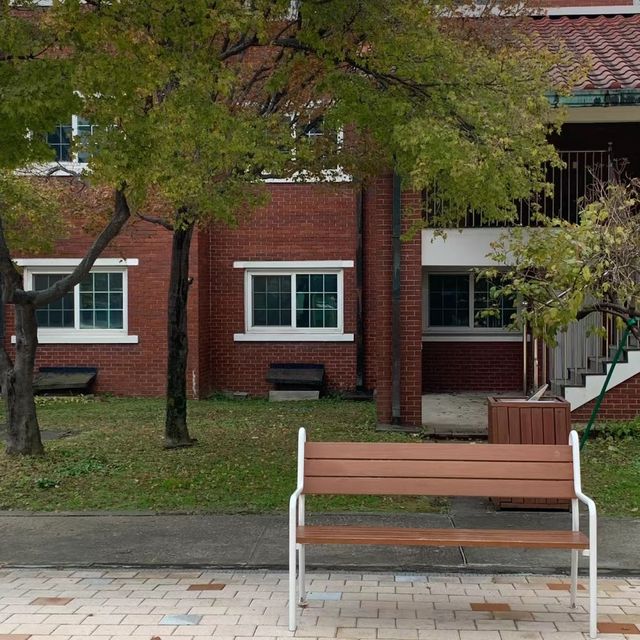 山光水色～圍嶺公園