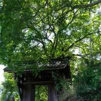 悠遊靜美～東關王廟