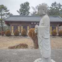 여수 겨울 바다와 동백 지장대사