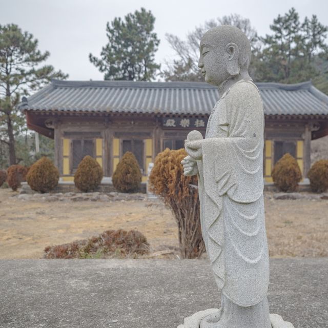 여수 겨울 바다와 동백 지장대사