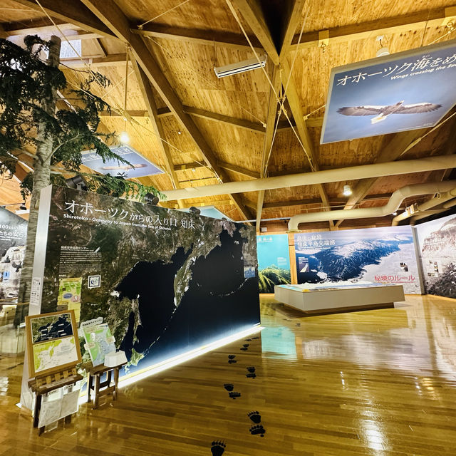 知床世界遺產中心（知床世界遺産センター）