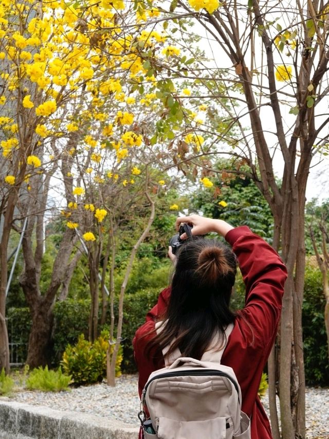📍「南頭古城」：📸港人週末休閒好去處🥰
