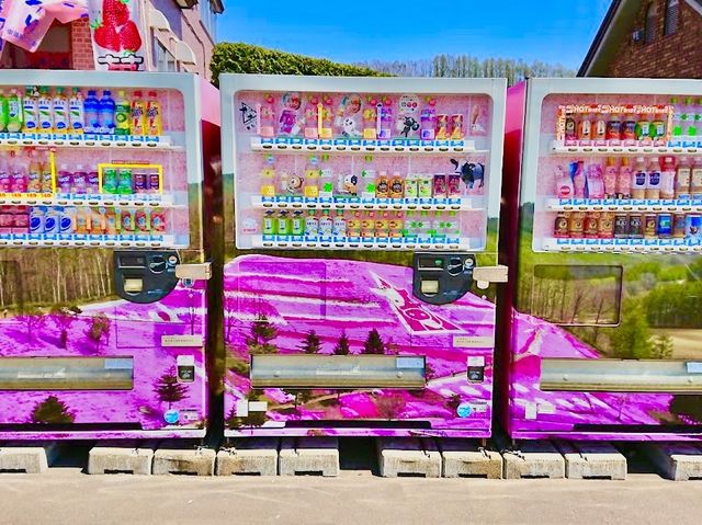 Higashimokoto Shibazakura Park 