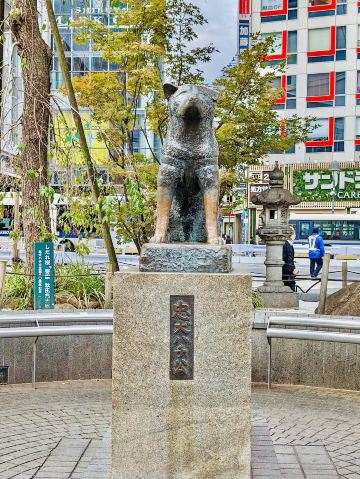 The statue of Hachiko | Trip.com Tokyo