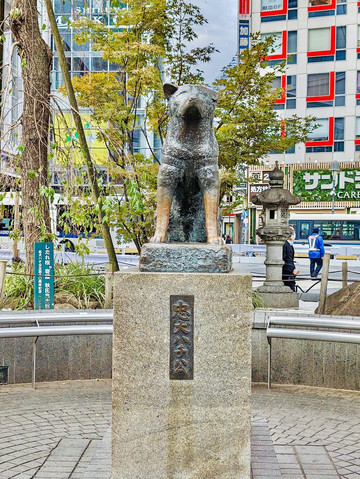 邦楽 SUMMER ROCKET / Gaming Hachiko SHIBUYA 1mi4r224x8u6w81fb2E54_Q90.jpg?