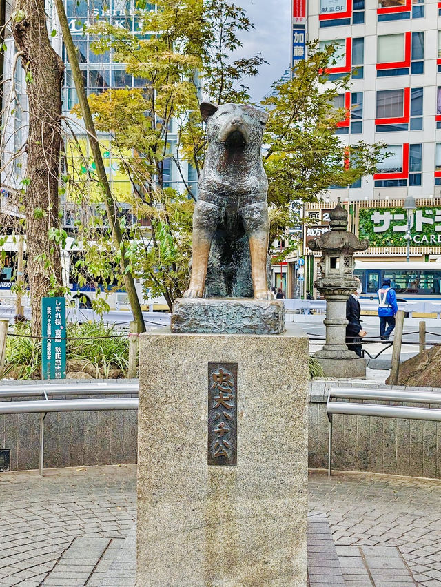 The statue of Hachiko