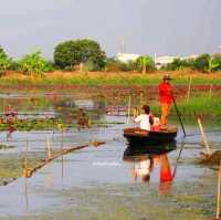 นั่งเรือชม ทุ่งบัวแดง ณ บางเลน นครปฐม