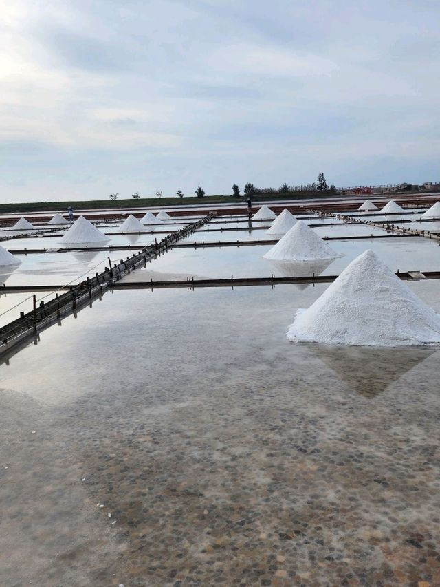 #WinHKField Jingzijiao Wapan Salt Field 