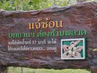 อุทยานแห่งชาติแจ้ซ้อน - Chae Son National Park