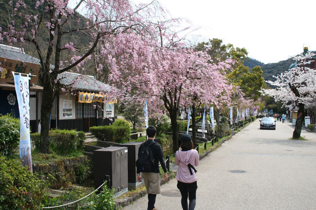 【都ホテル 岐阜長良川】ホテルスタッフおすすめ観光コース「ぎふ旅巡り」vol.03『アクティブ旅コース』