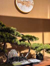 「笹月」：尖東新開西日料理餐廳，適合聚會