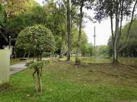 Johor Bahru City Council City Forest