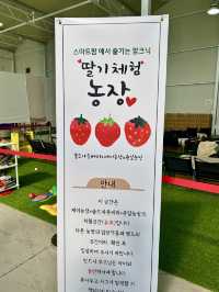 부산 근교 갓성비 여행 코스 밀양 팜파레