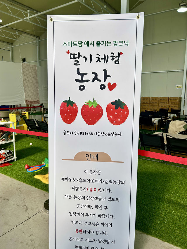 부산 근교 갓성비 여행 코스 밀양 팜파레
