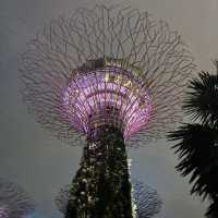 Garden by the bay 