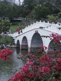珠海免費景點，小溪花海人少