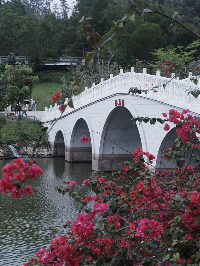 珠海免費景點，小溪花海人少