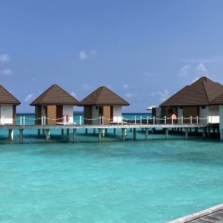 환상의 섬 몰디브!🏝️