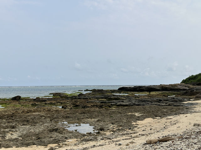 沖縄・石垣島。木々をくぐり抜けると現れる宮良湾の海岸『大浜海岸』