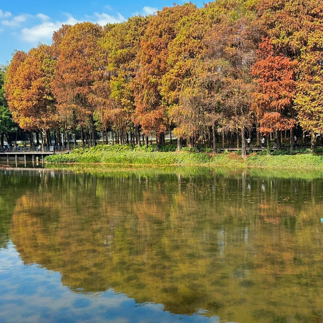 上海東灘濕地公園~生態大畫捲 上海東灘濕地公園~生態大畫捲