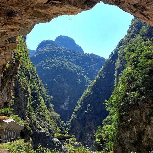 佘山國家森林公園：青翠山水畫捲