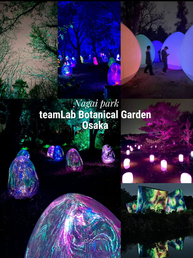 【大阪】自然とART 野外ミュージアム チームラボ🌳ボタニカルガーデン🌳