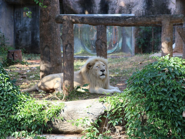 Nakhon Ratchasima Zoo