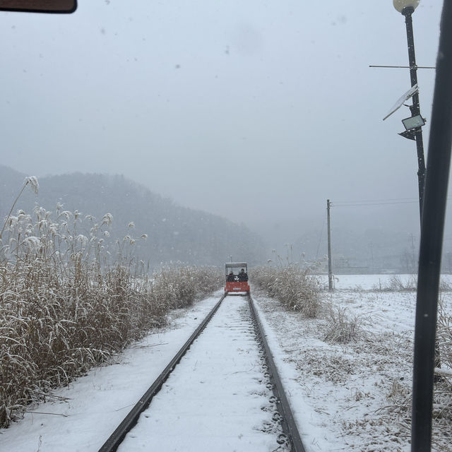 ❄下雪️踩單車體驗