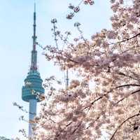 Namsan Mountain Park