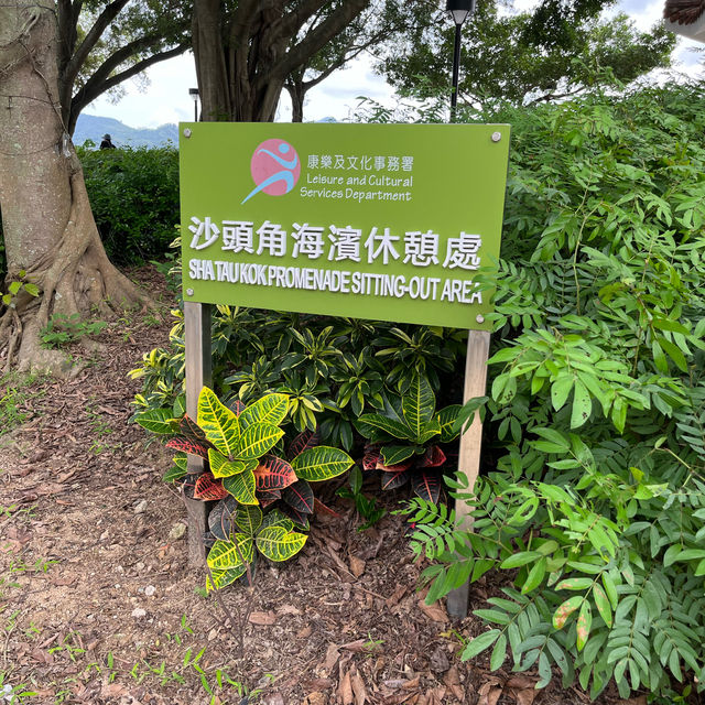 ［香港］打卡景點之禁區範圍-沙頭角
