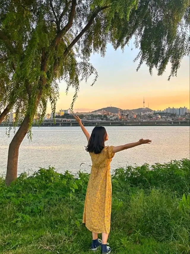 반포한강공원 - 입장권, 운영 시간, 후기 & 사진 [2024년] | Trip.com