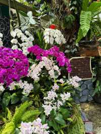 💐 Step into the world of Flowers