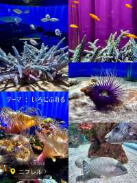 【大阪】水族館・動物園をartとして子供も大人も楽しめる体験型 「生きているミュージアム」