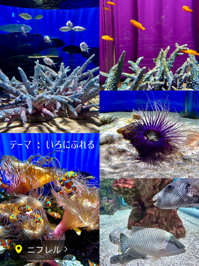 【大阪】水族館・動物園をartとして子供も大人も楽しめる体験型 「生きているミュージアム」