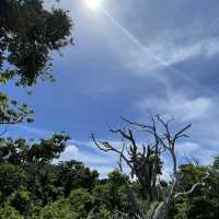 Heavenly Siargao Island