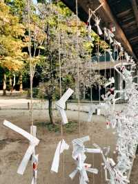 🇯🇵日本福岡景點⛩️ 寶滿宮 竈門神社🌸