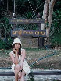 ตั้งแคมป์ นอนดูดาว ณ ผาชู้