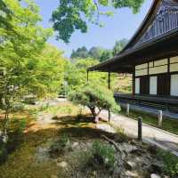 「寶泉院」古樸淡雅、禪意盎然