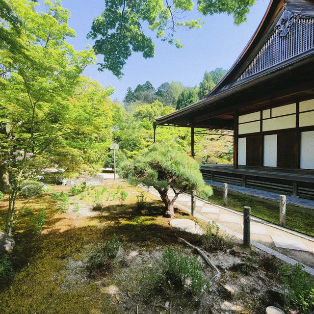 「寶泉院」古樸淡雅、禪意盎然