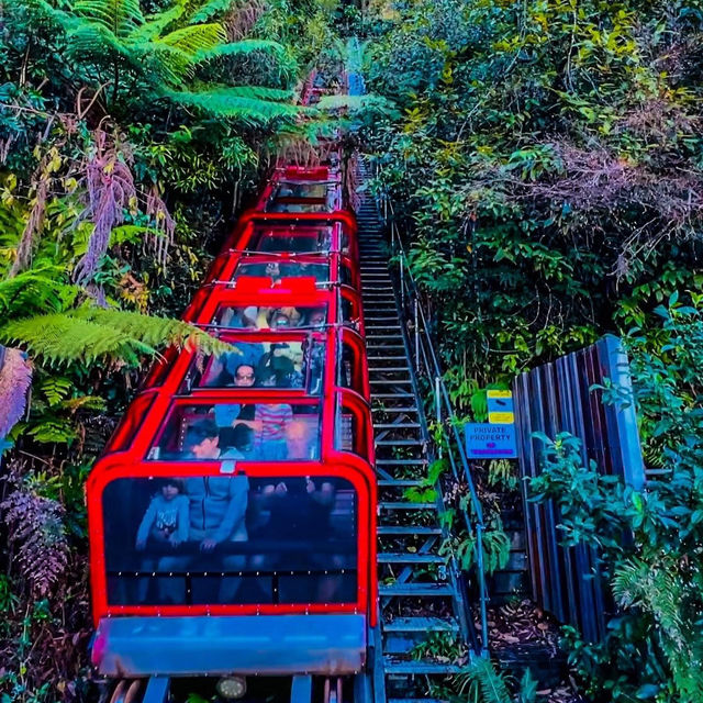 Stunning Blue Mountain Katoomba