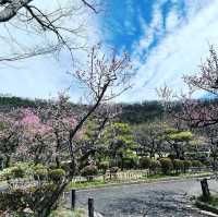 梅林公園
