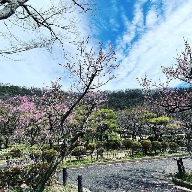 梅林公園