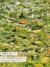 【熊本/ジブリの世界】秘境にあった、美しすぎる水源✨️