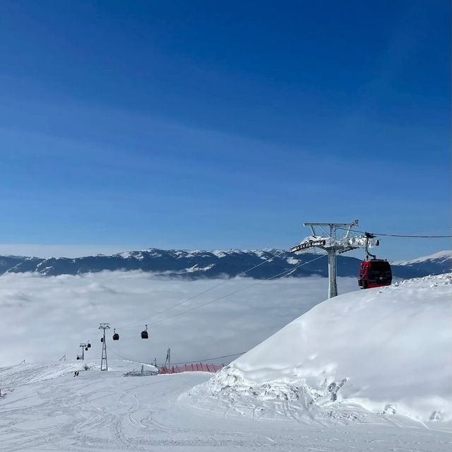 韓國阿爾卑斯滑雪場：冬季天堂