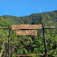 Puerto Galera PG 海豚灣